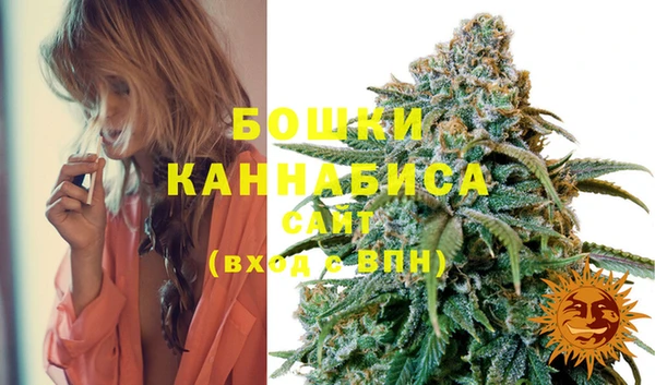 прущие грибы Володарск