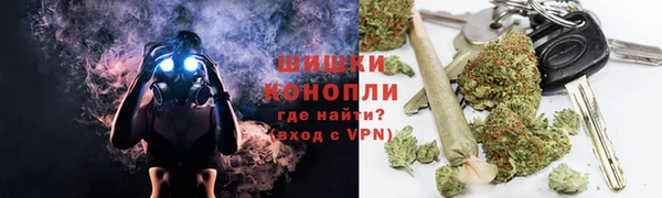 прущие грибы Володарск
