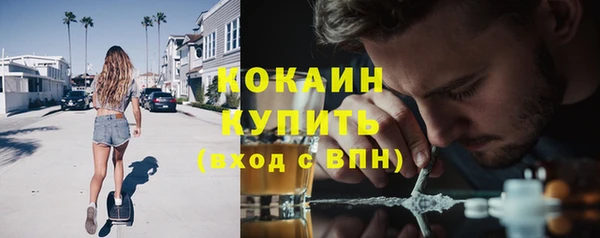 mdpv Бородино
