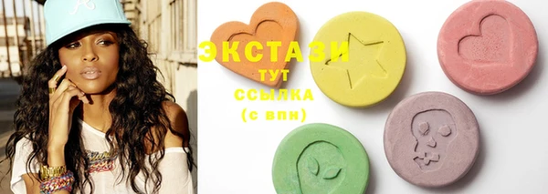 ECSTASY Богородск