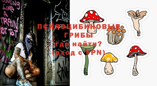 прущие грибы Володарск