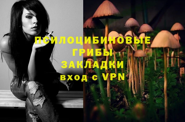 марки nbome Верхний Тагил